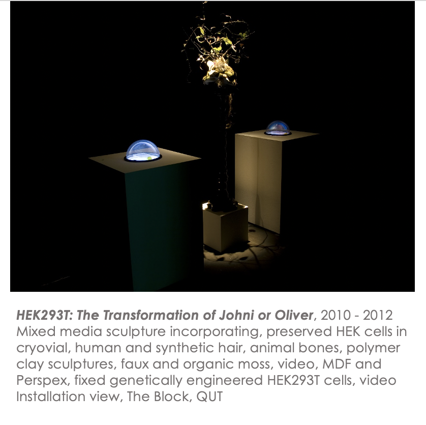 Svenja Kratz: HEK 293T The Transformation of Johni or Oliver