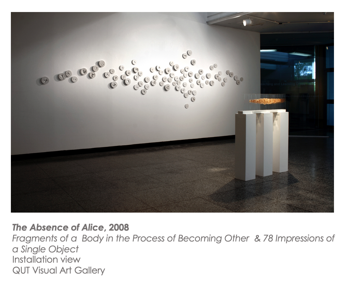 The Absence of Alice 2008