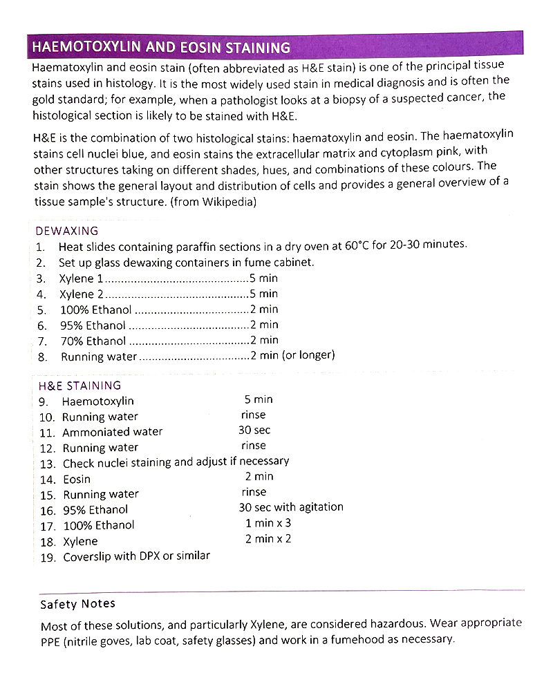 H & E Stain Protocol 