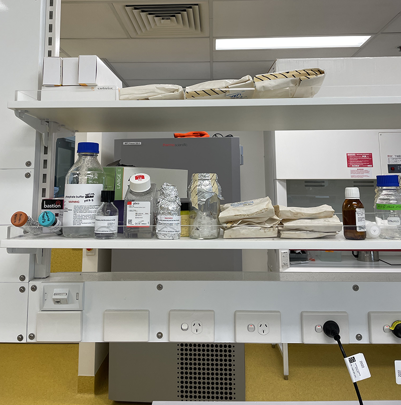 Autoclaved items stored in lab