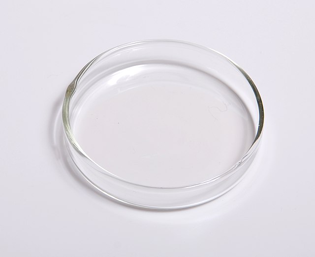 Glass Petri Dish