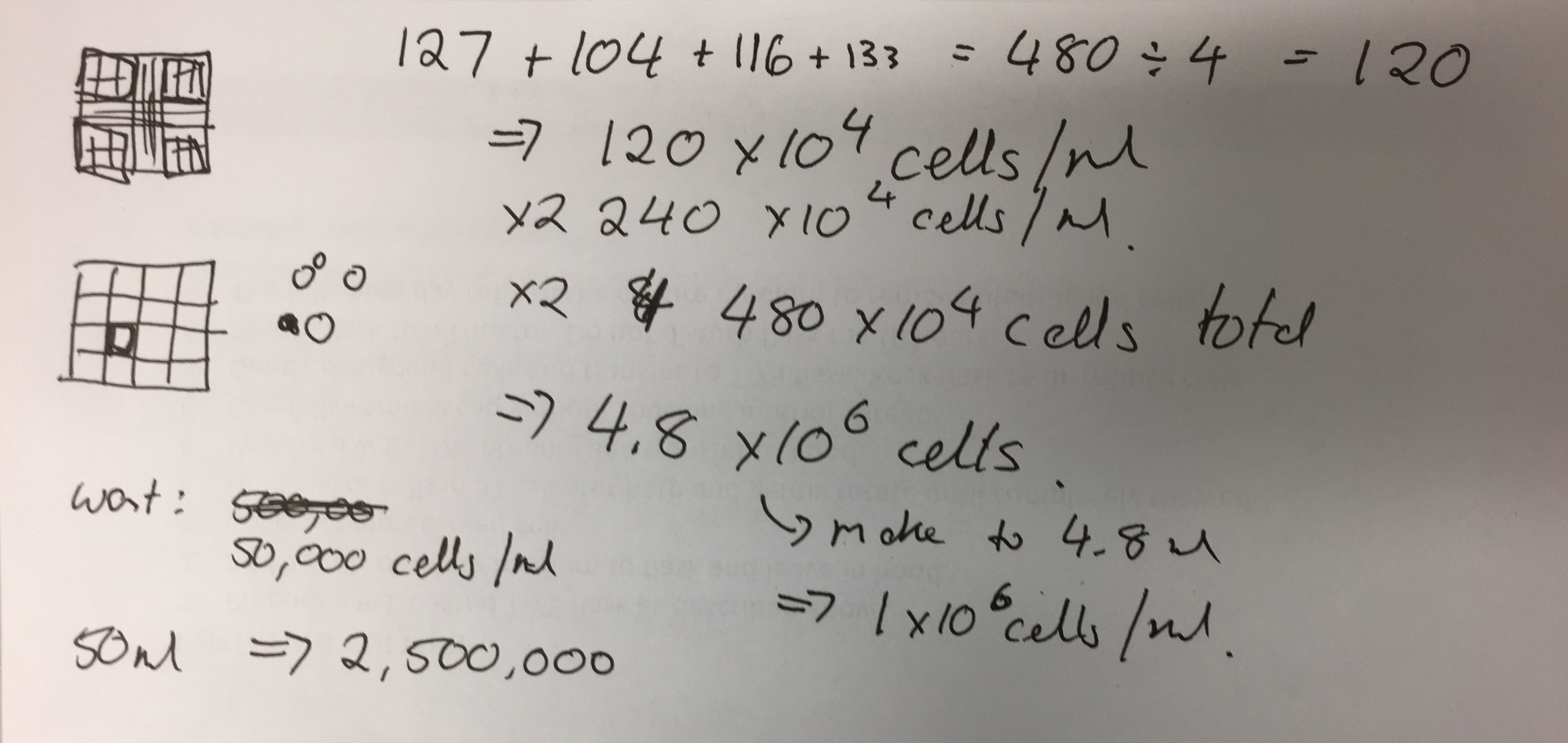 Cell Counting