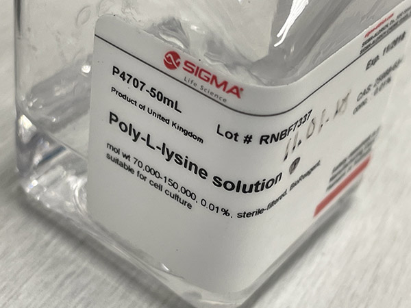 poly-l-lysine