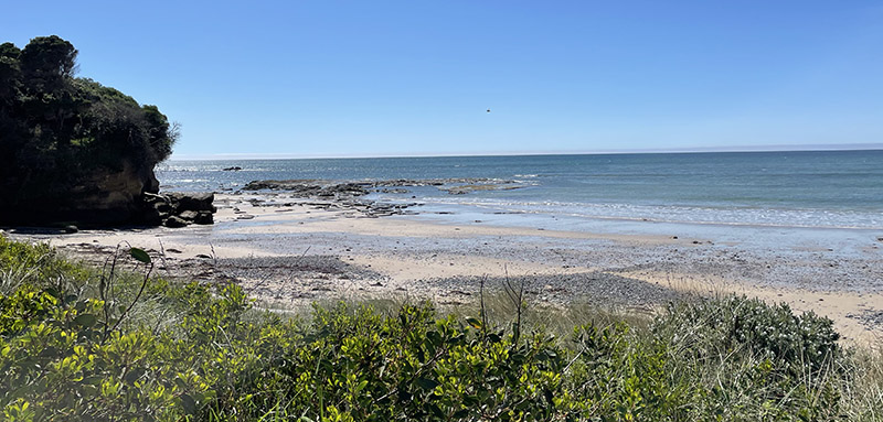 Wynyard Beach