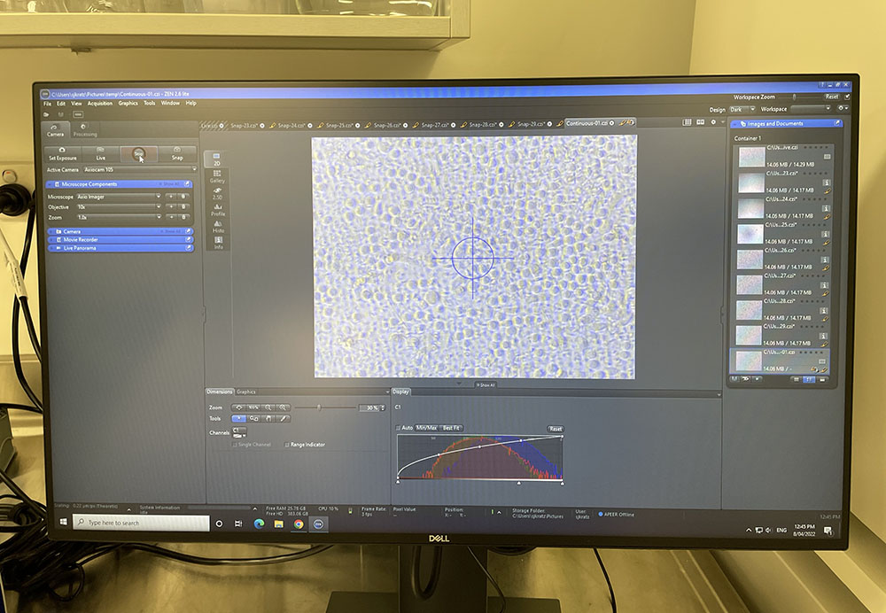 PBM Cells